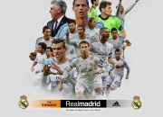 中国熊猫体育-赛道与球场，当F1引擎轰鸣遇见锡安空中漫步