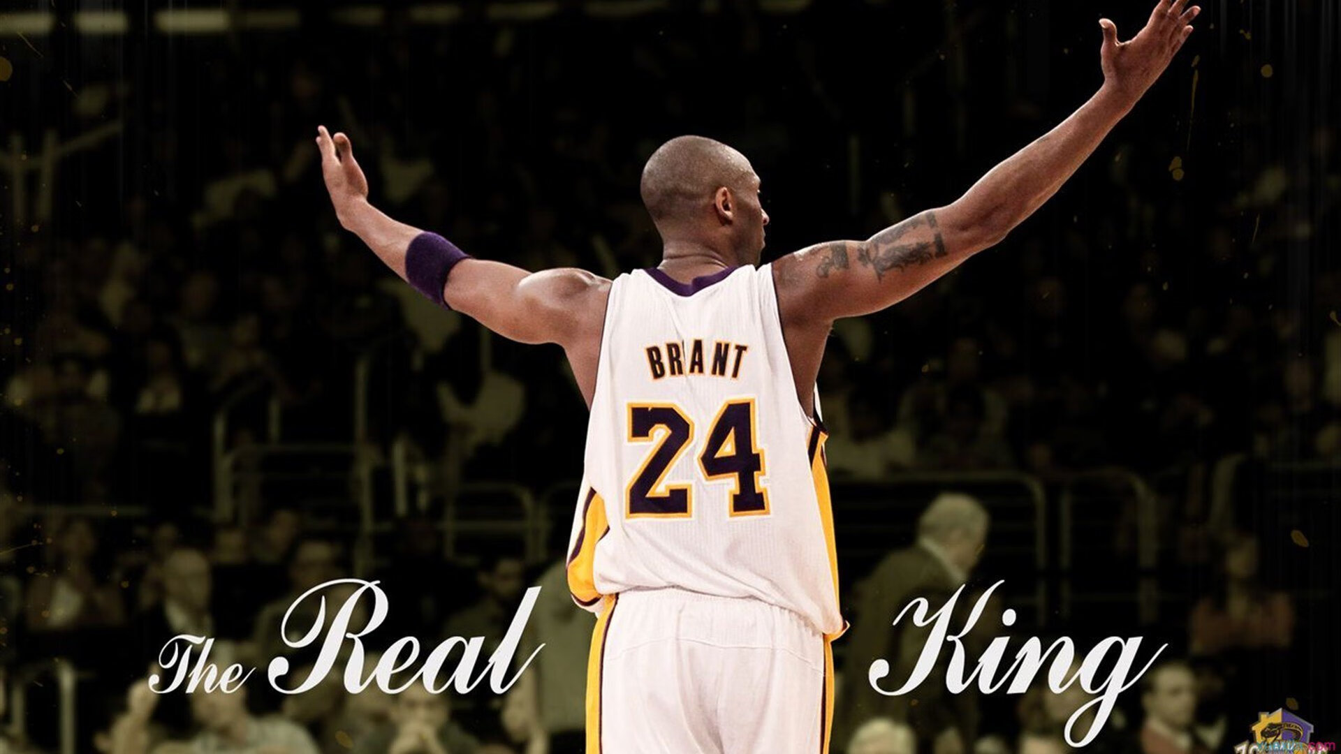 冰与火之歌，浙江队冻结热火，莫兰特加冕关键先生